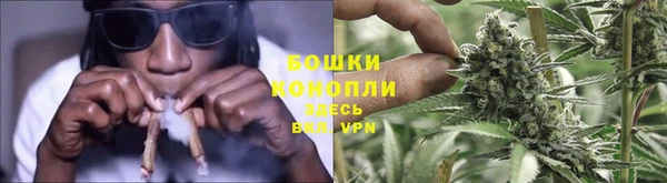 mdpv Краснослободск