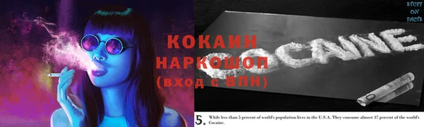 мдпв Кукмор