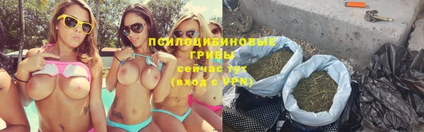 амф Кулебаки