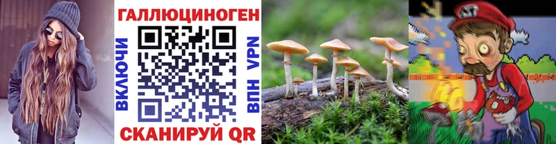 как найти закладки  Ялта  Псилоцибиновые грибы GOLDEN TEACHER 