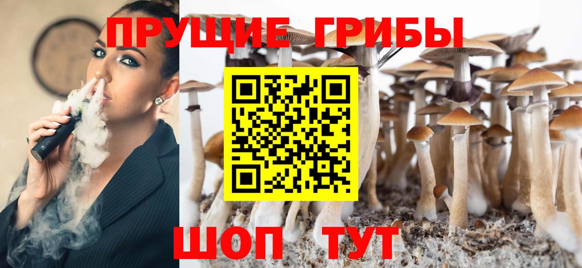 Псилоцибиновые грибы Cubensis  Галлюциногенные грибы прущие грибы  Вход с VPN  Ялта 